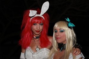 alice in tara minunilor