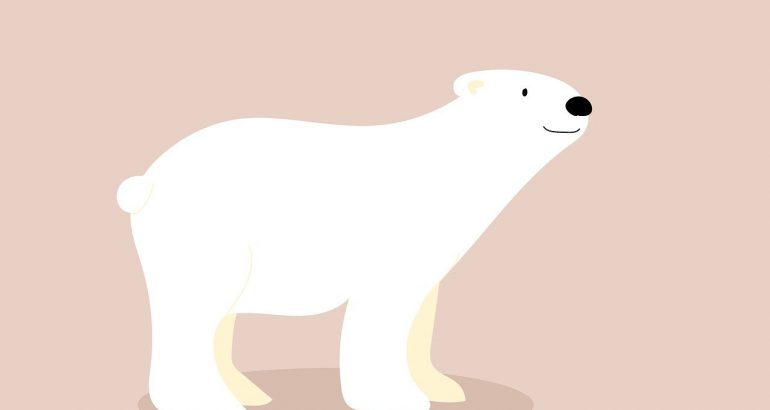 ursul polar