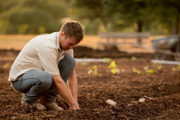 Cum poți valorifica un teren agricol chiar dacă ești nou în acest domeniu