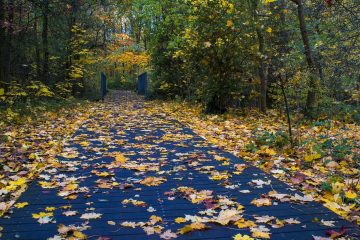 20 de idei pentru o vacanta in octombrie