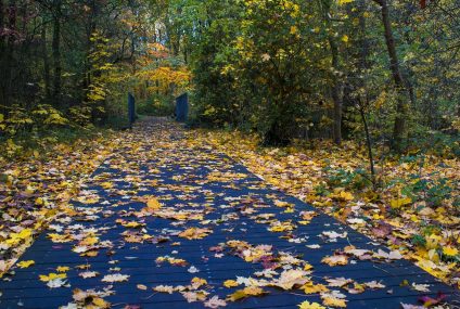 20 de idei pentru o vacanta in octombrie