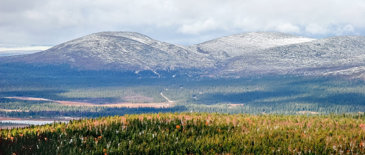 Laponia