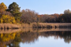 lac artificial in gradina