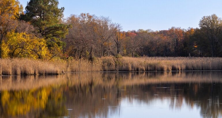 lac artificial in gradina