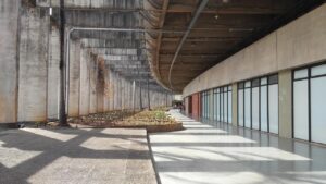 premiul oscar pentru cel mai bun film documentar