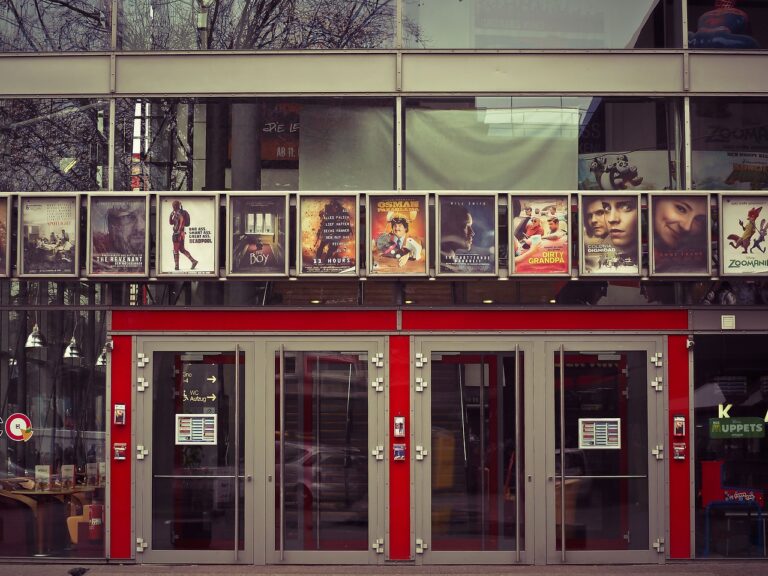 ana mi ai fost scrisa in adn actori distributie