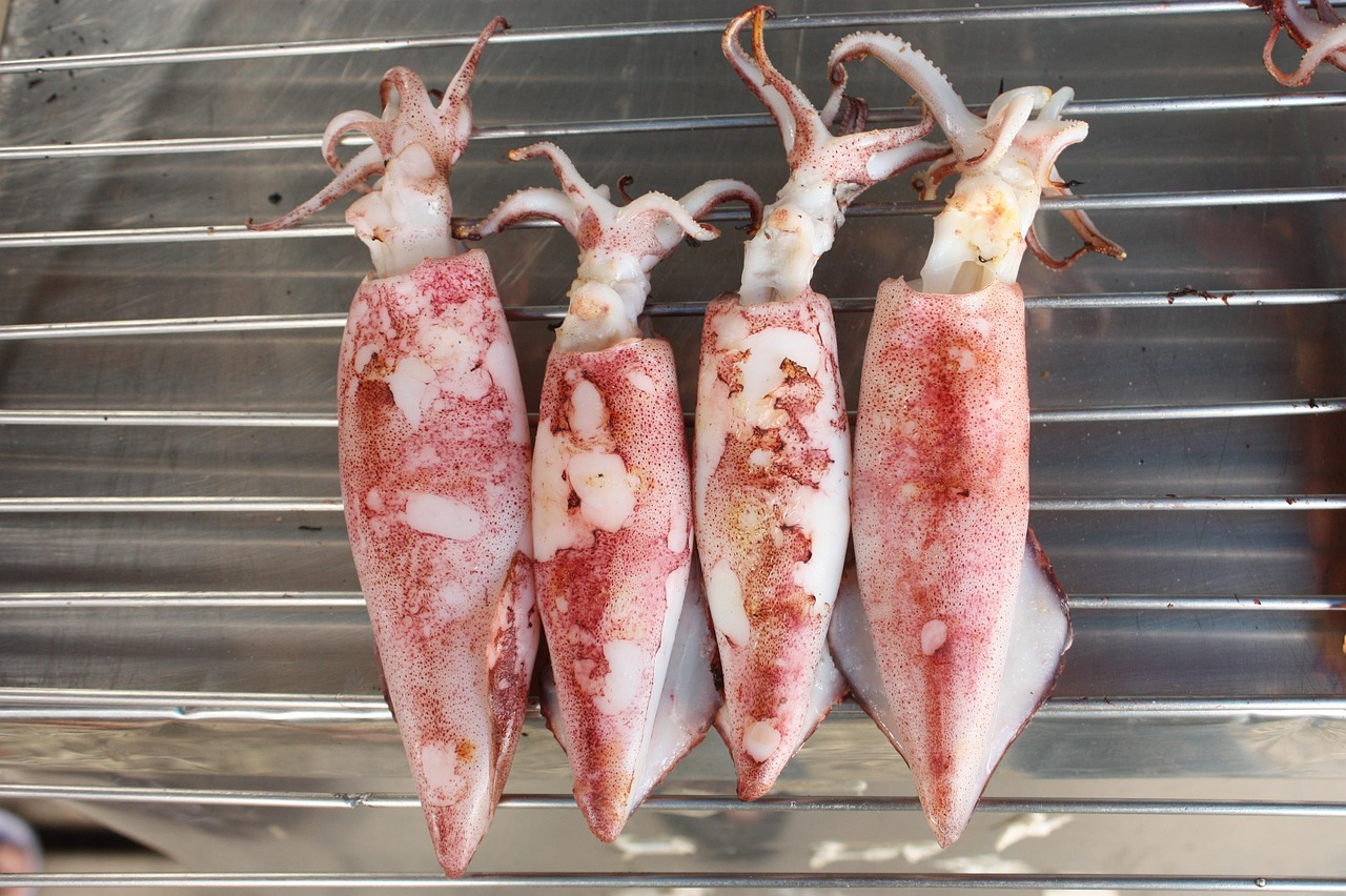 squid game dublat in romana